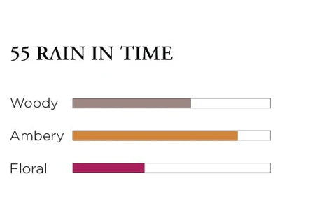 *Rain In Time