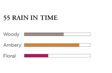 *Rain In Time