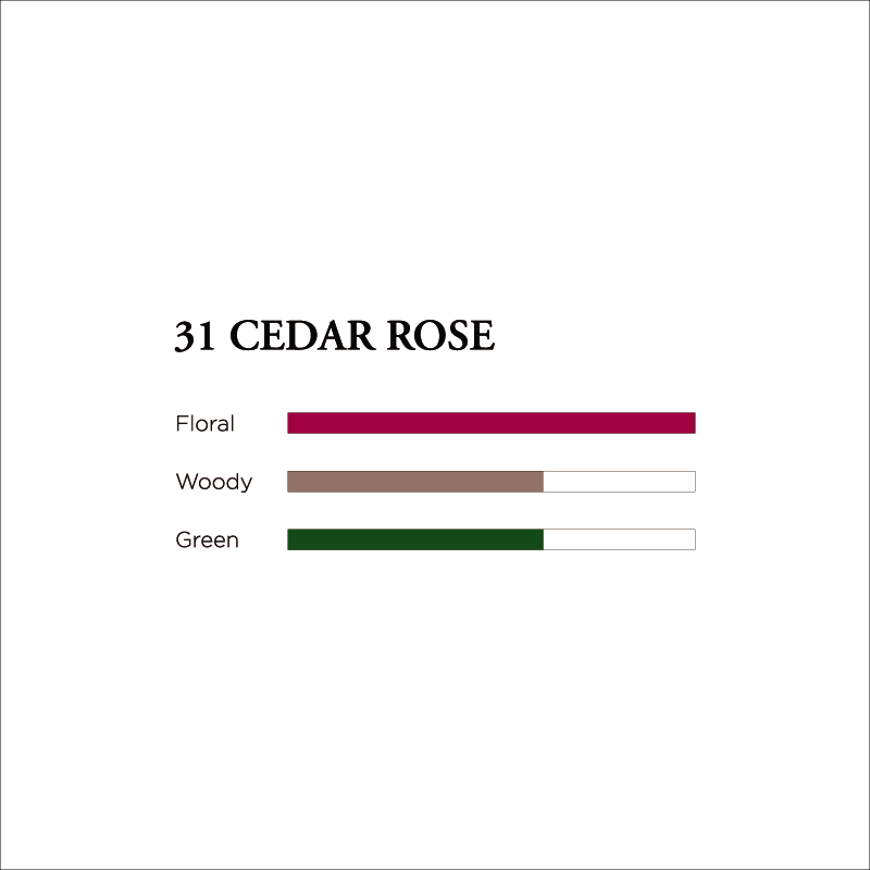 No. 31 Cedar Rose