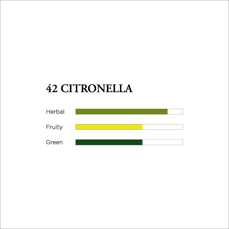 No. 42 Citronella