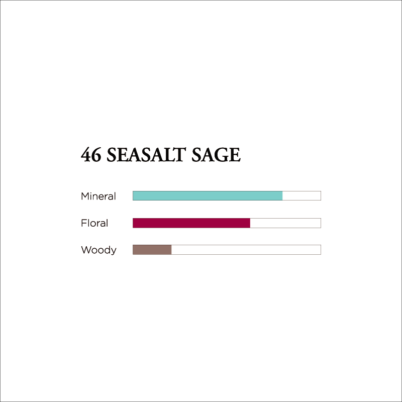 No. 46 Sea Salt Sage