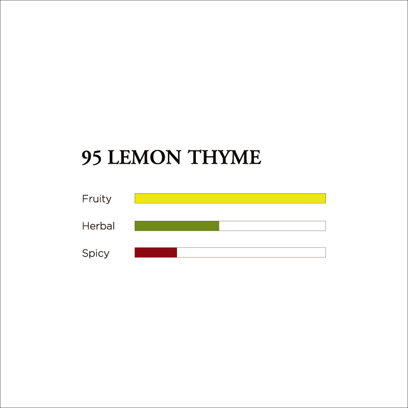 No. 95 Lemon Thyme